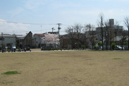 東京都 葛飾区の渋江公園、<br>芝生広場