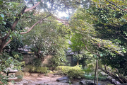 丹徳庭園