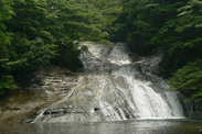 千葉県 粟又の滝と岩肌