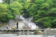 千葉県 粟又の滝と遊歩道