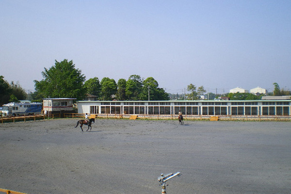 馬の専門学校