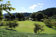 茨城県 奥久慈茶の里公園3