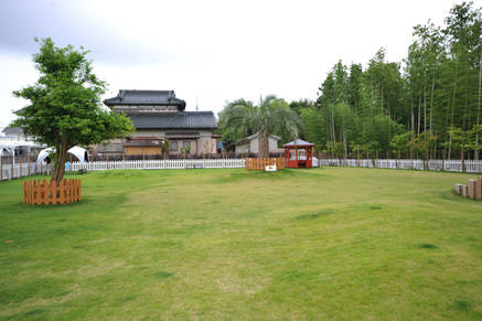 総天然芝のドッグランと竹林里山