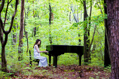 森の中のグランドピアノ