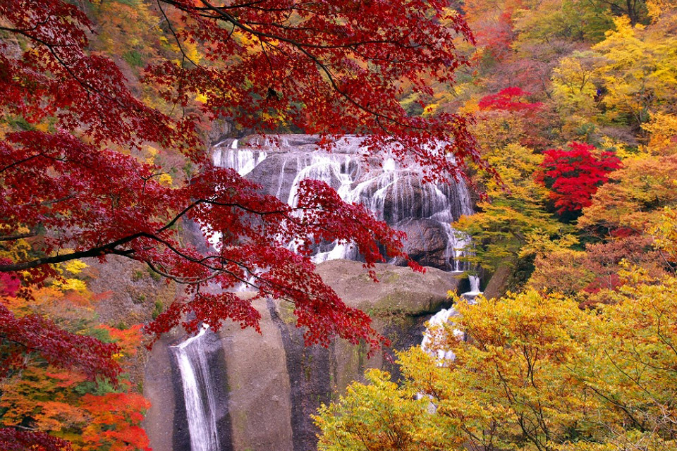 茨城県袋田の滝と紅葉<br>（撮影:成島晴男）