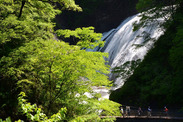 茨城県袋田の滝と新緑