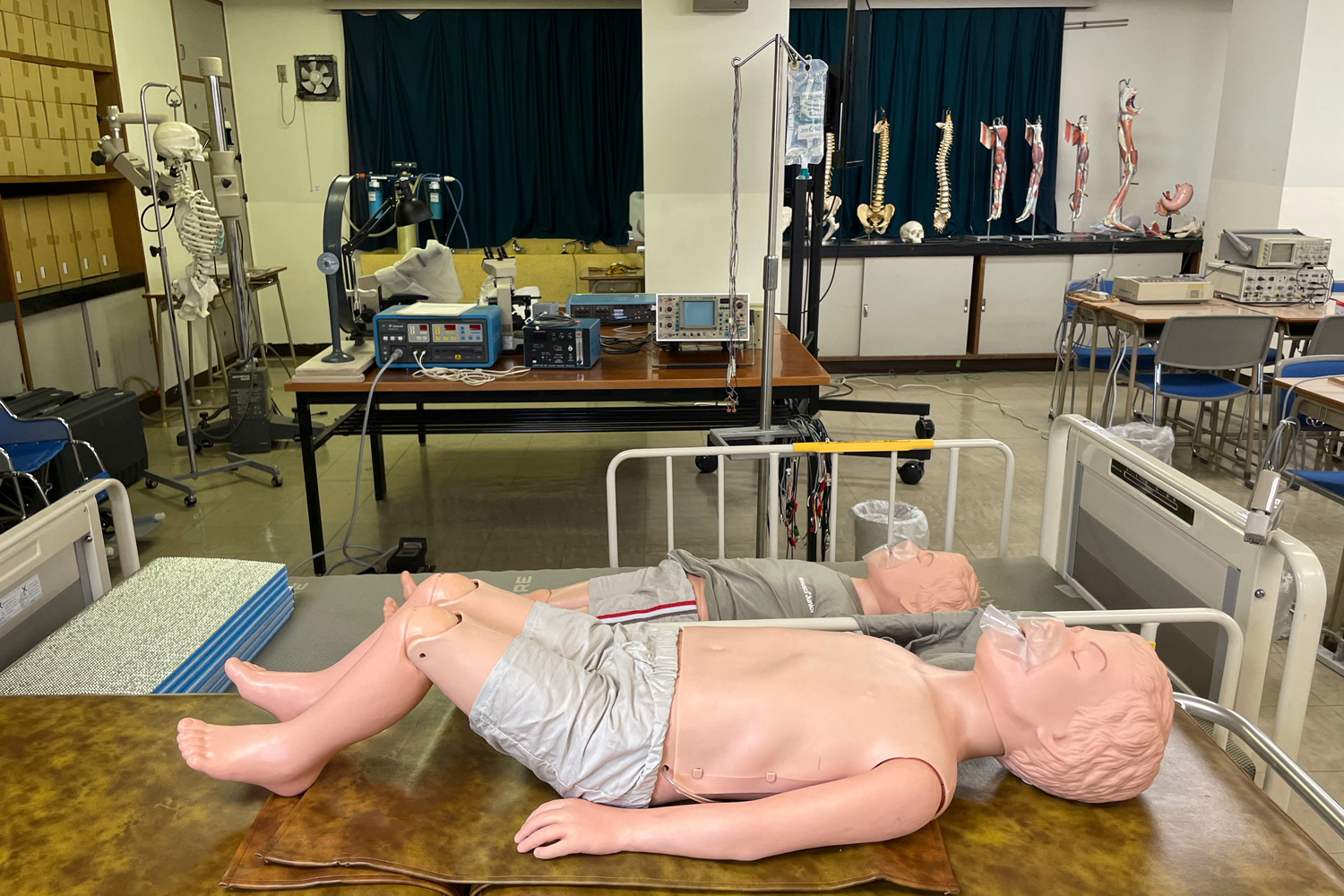 基礎医学実習室 人体模型