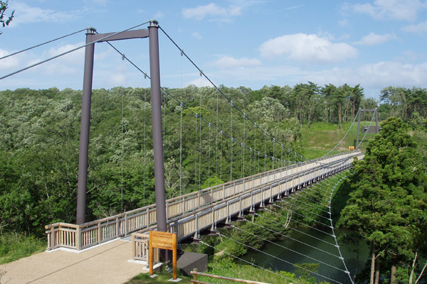 茨城県 水郷県民の森、吊り橋