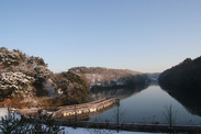 茨城県 水郷県民の森、冬