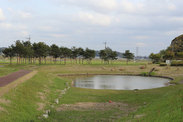茨城県 かすみの郷公園、池