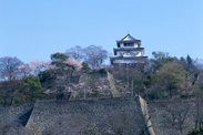 香川県 丸亀城
