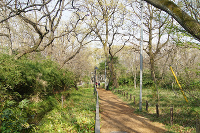 清瀬市の公園