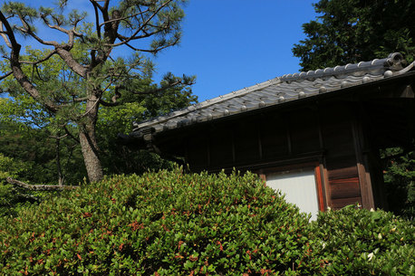 和風庭園に佇む茶室