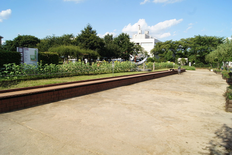 東京都 清瀬市神山公園の花壇