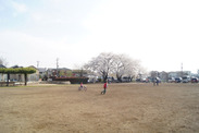 東京都 清瀬市神山公園の広場