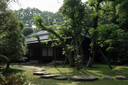 千葉県 旧吉田家住宅歴史公園<br>庭園