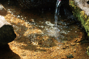 群馬県 たんばらラベンダー<br>パークの湧き水