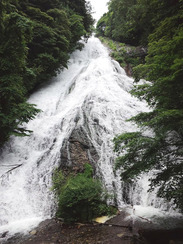 栃木県 日光国立公園<br>夏の湯滝