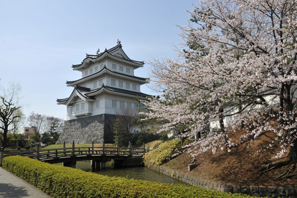 埼玉県 忍城と桜