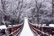 茨城県 花貫渓谷、雪景色