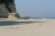 茨城県 ささき浜、砂浜