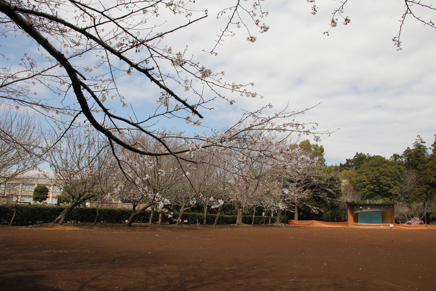 千葉県 手賀の丘公園、広場