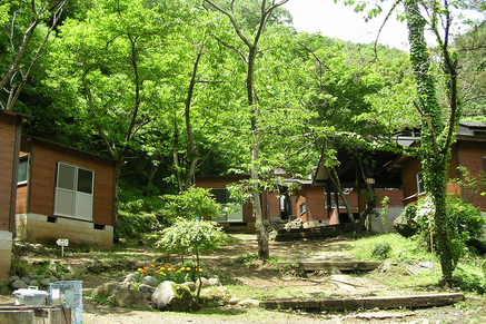 桐花園 キャンプ場