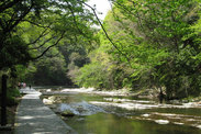 千葉県 養老渓谷と遊歩道<br>粟又の滝自然遊歩道